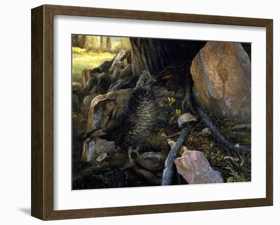 Ruffed Grouse and Trout Lilies-Kevin Dodds-Framed Giclee Print