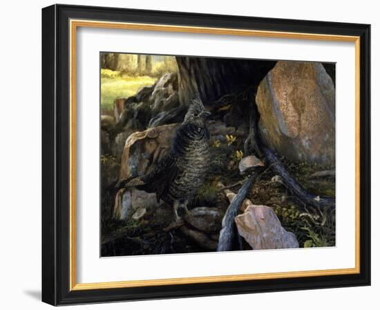 Ruffed Grouse and Trout Lilies-Kevin Dodds-Framed Giclee Print