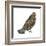 Ruffed Grouse (Bonasa Umbellus), Birds-Encyclopaedia Britannica-Framed Art Print