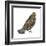 Ruffed Grouse (Bonasa Umbellus), Birds-Encyclopaedia Britannica-Framed Art Print