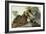 Ruffed Grouse (Tetrao Umbellus), Plate Xli, from 'The Birds of America'-John James Audubon-Framed Giclee Print