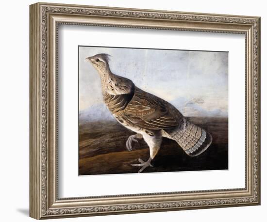 Ruffed Grouse-John James Audubon-Framed Giclee Print