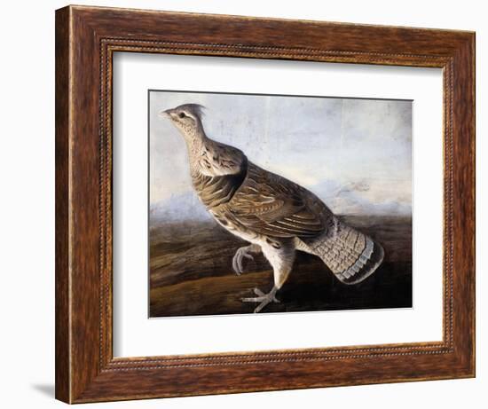 Ruffed Grouse-John James Audubon-Framed Giclee Print