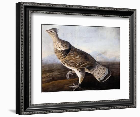 Ruffed Grouse-John James Audubon-Framed Giclee Print