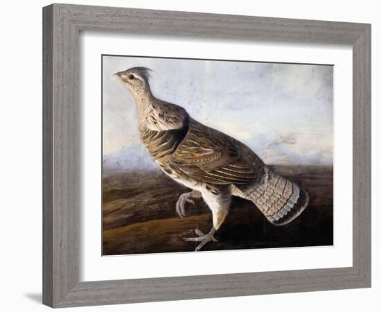 Ruffed Grouse-John James Audubon-Framed Giclee Print