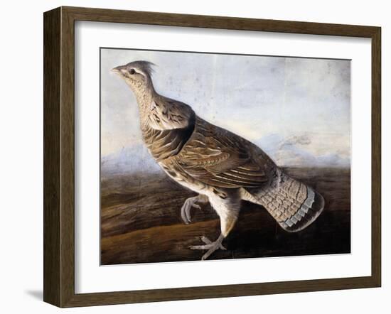 Ruffed Grouse-John James Audubon-Framed Giclee Print