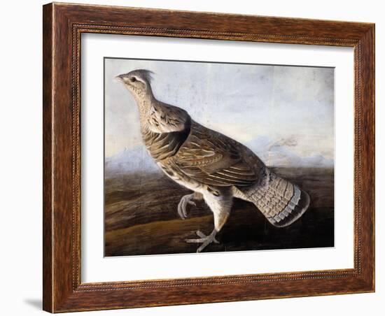 Ruffed Grouse-John James Audubon-Framed Giclee Print