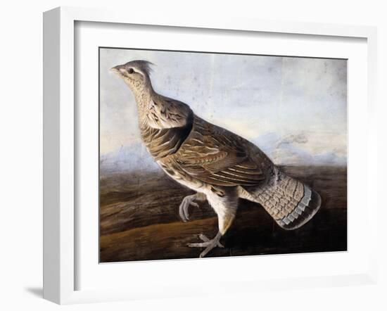 Ruffed Grouse-John James Audubon-Framed Giclee Print