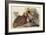 Ruffed Grouse-John James Audubon-Framed Art Print