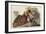 Ruffed Grouse-John James Audubon-Framed Art Print