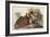 Ruffed Grouse-John James Audubon-Framed Art Print