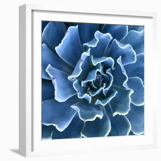 Ruffled Edges-Jan Bell-Framed Photographic Print