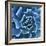 Ruffled Edges-Jan Bell-Framed Photographic Print