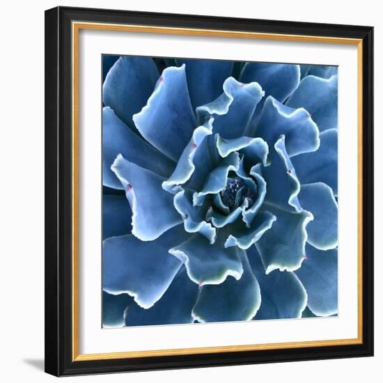 Ruffled Edges-Jan Bell-Framed Photographic Print