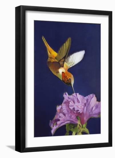 Rufous Hummingbird-Max Hayslette-Framed Giclee Print