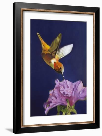 Rufous Hummingbird-Max Hayslette-Framed Giclee Print