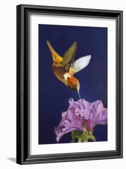 Rufous Hummingbird-Max Hayslette-Framed Giclee Print