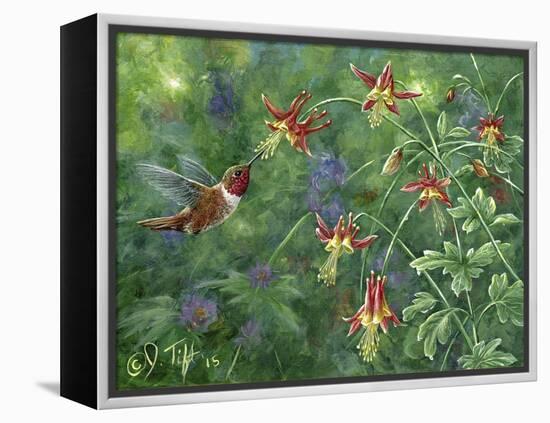 Rufous Hummingbird-Jeff Tift-Framed Premier Image Canvas