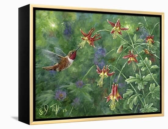 Rufous Hummingbird-Jeff Tift-Framed Premier Image Canvas