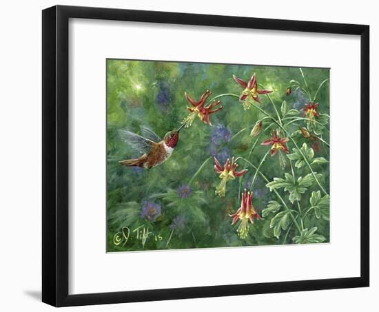 Rufous Hummingbird-Jeff Tift-Framed Giclee Print