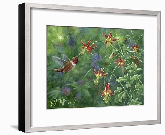 Rufous Hummingbird-Jeff Tift-Framed Giclee Print