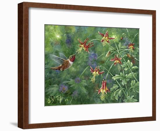 Rufous Hummingbird-Jeff Tift-Framed Giclee Print