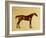 Rufus-George Stubbs-Framed Giclee Print