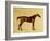 Rufus-George Stubbs-Framed Giclee Print