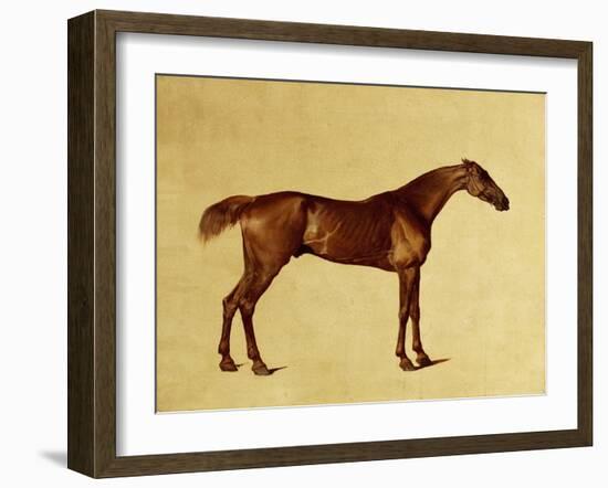 Rufus-George Stubbs-Framed Giclee Print