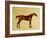 Rufus-George Stubbs-Framed Giclee Print