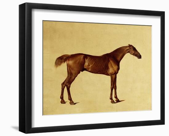 Rufus-George Stubbs-Framed Giclee Print