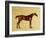 Rufus-George Stubbs-Framed Giclee Print