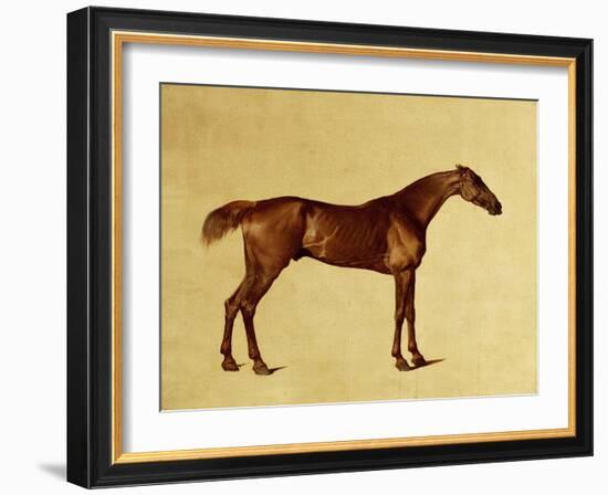 Rufus-George Stubbs-Framed Giclee Print