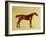 Rufus-George Stubbs-Framed Giclee Print