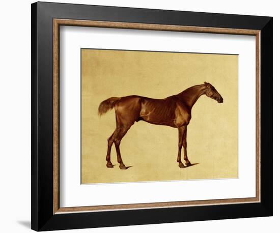 Rufus-George Stubbs-Framed Giclee Print