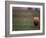 Rugby Ball on Tee, Paris, France-null-Framed Photographic Print