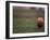 Rugby Ball on Tee, Paris, France-null-Framed Photographic Print