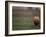 Rugby Ball on Tee, Paris, France-null-Framed Photographic Print