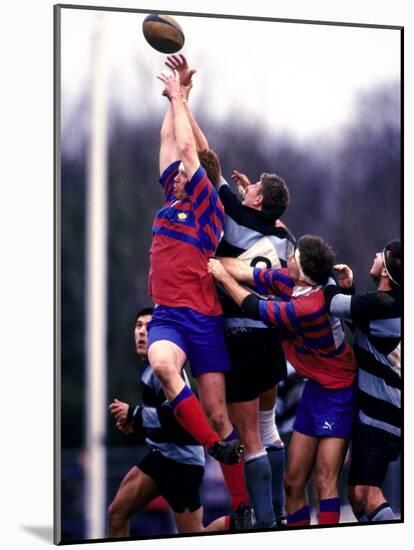 Rugby Game Action-null-Mounted Photographic Print