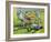 Rugby Match: Australia v Argentina in the World Cup, 1991-Gareth Lloyd Ball-Framed Giclee Print