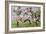 Rugby Match: Harlequins v Northampton, 1992-Gareth Lloyd Ball-Framed Giclee Print