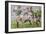 Rugby Match: Harlequins v Northampton, 1992-Gareth Lloyd Ball-Framed Giclee Print