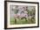 Rugby Match: Harlequins v Northampton, 1992-Gareth Lloyd Ball-Framed Giclee Print