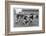 Rugby Match Middlesex-null-Framed Photographic Print