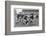 Rugby Match Middlesex-null-Framed Photographic Print