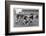 Rugby Match Middlesex-null-Framed Photographic Print