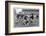 Rugby Match Middlesex-null-Framed Photographic Print