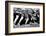 Rugby Match-Friday-Framed Photographic Print