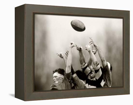 Rugby Player in Action, Paris, France-null-Framed Premier Image Canvas