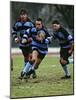 Rugby Players in Action, Paris, France-Paul Sutton-Mounted Photographic Print